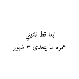 ابغا قط للتبني