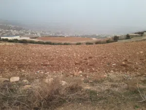 ارض لقطة للبيع تصلح ل فيلا دونم تنظيم أ
