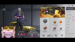 Pubg Accounts and Characters for Sale in Sana'a