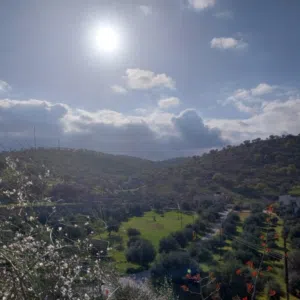 عبدالله الغويري