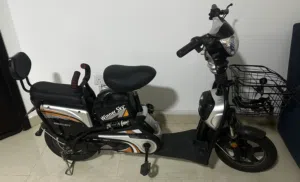 Winner Sky Electric Scooter