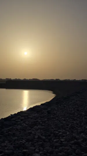 مطلوب غرفة للايجار في الخوض السابعة أو الموالح