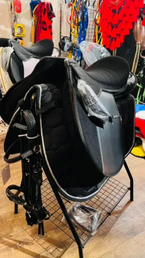 سرج خيل استيتيوس