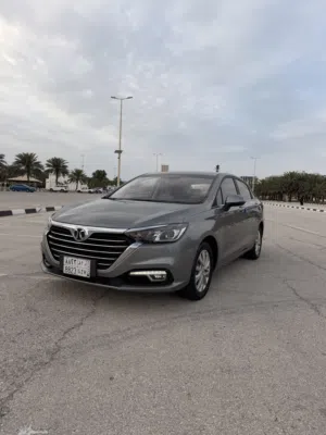 BAIC . Other . 2024 . Used2