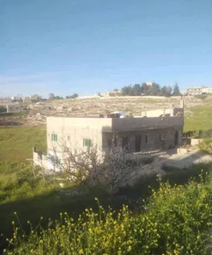 1250 m2 More than 6 bedrooms Townhouse for Sale in Madaba Juraynah