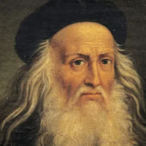 MARKET PATRON 