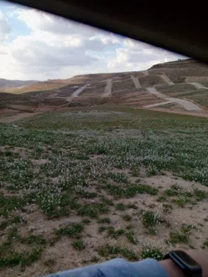 فرصة استثمار وسكن