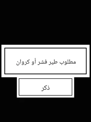 مطلوب طير فشر أو كروان تبني