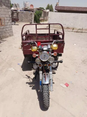 ستوته 2024 باب اول نظيفه مناسبه
