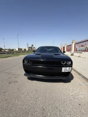 Used Dodge Challenger in Baghdad