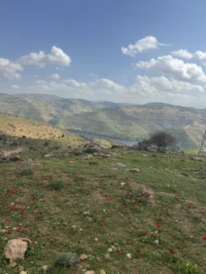 Mixed Use Land for Sale in Jerash Borma