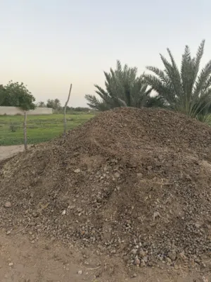 سماد بوش (مجانا)