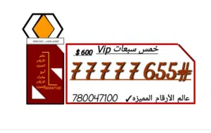 خمس سبعات ارقام مميزه عالم الأرقام المميزه