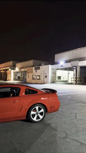 يوجد اربع رنقات موستنق نضااف للبيع او للبدل مع ولدات .