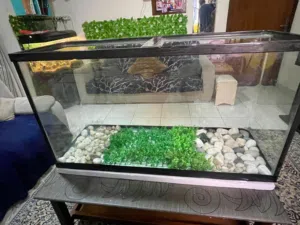 Big Fish tank with stand