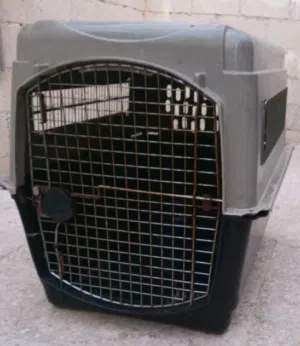 بيت حيوانات كبير جدا الماني اصلي 95بدل 450 للمحتاجه سعر محروق حرق ببلاش ببلاش