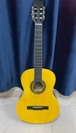 Fiesta Classical Guitar