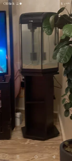حوض سمك للبيع