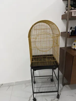 Golden bird cage.