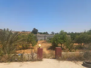 2 Bedrooms Farms for Sale in Tripoli Al-Matawe'e