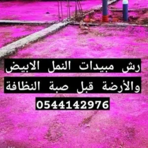 شركة رش مبيدات النمل الابيض بالمدينة المنورة