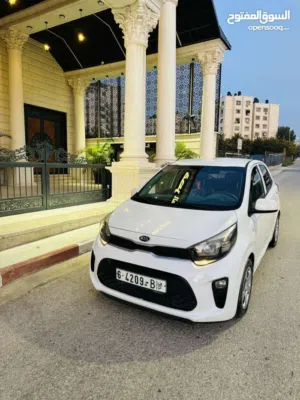 دهان-شركة-فحص-نخب-السعر39000-كاش