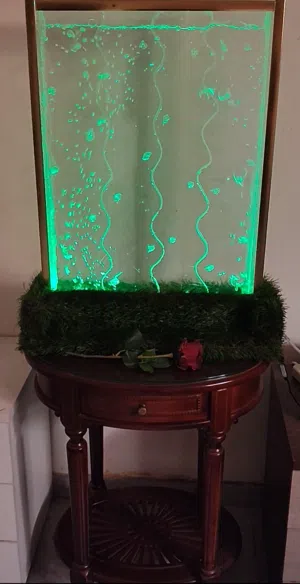 الستاره المائيه