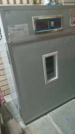 فقاسه نوامى 257بيضه فل تماتيك