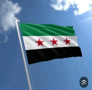 حنان عبد المعين السقا 