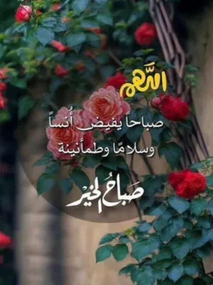 سلام عليكم محتاجه شقل نشر إنه بالبيت