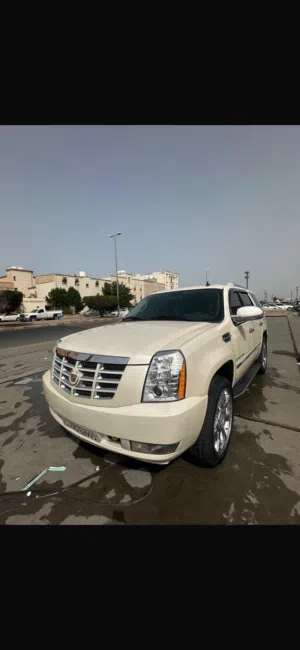 Used Cadillac Escalade in Farwaniya