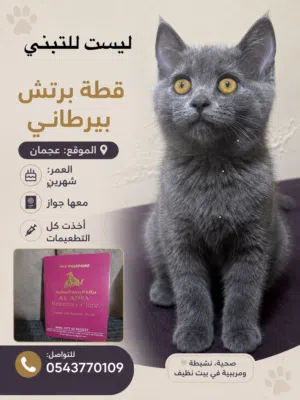 انثي لريطاني لرتش