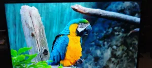 شاشه سامسونج 50 سمارت