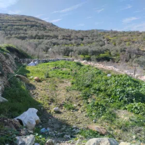 قطعة ارض للبيع/بلعا