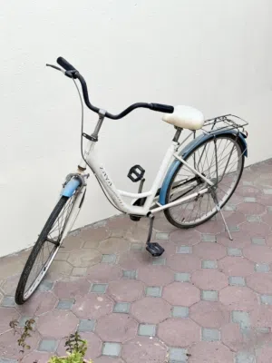 city cruiser bicycle for sale