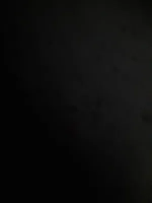 مطلوب بيسي شوف وصف