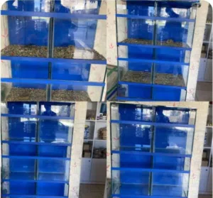 حوض سمك ثلث طوابق كل طابق خانتين للبيع