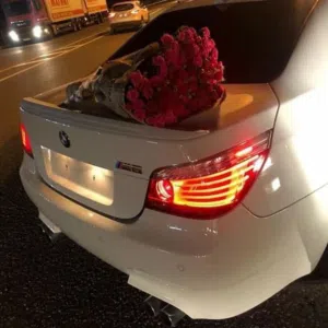 حـَبـ بن ـيـب 