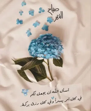 hussain 