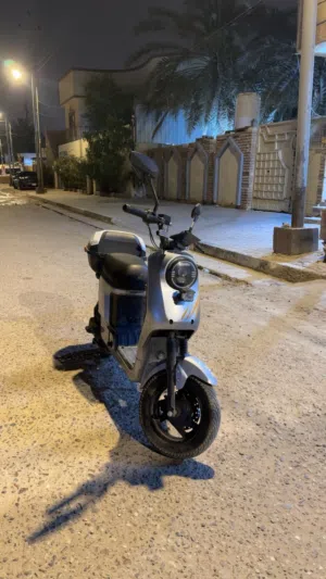 دراجة شحن ريان R10