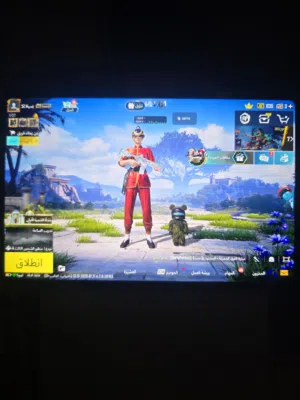 Pubg Accounts and Characters for Sale in Hebron