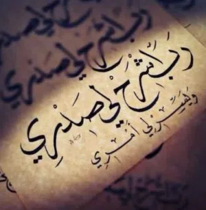 ابو محمد العمرو محمد