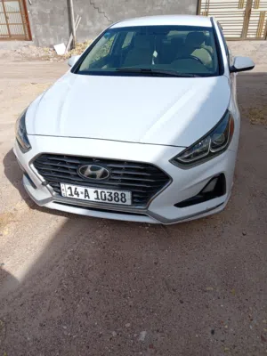 سوناتا 2019 واردامريكي حادثه بأمريكا  خشم بالعراق بابين