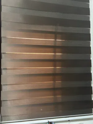 برداي زيبرا عدد اربعة