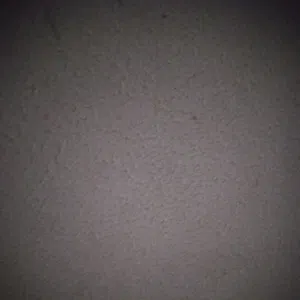 محمد 