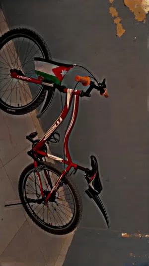 دراجة هوائية للبيع