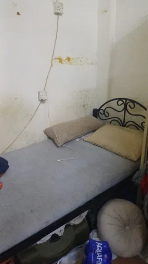 مطلوب فرد في سكن شقه