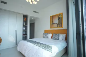 Large 1BHK  Serviced Apartment  Fully furnished  in Dubailand