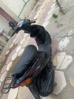 ماكس عدله 000