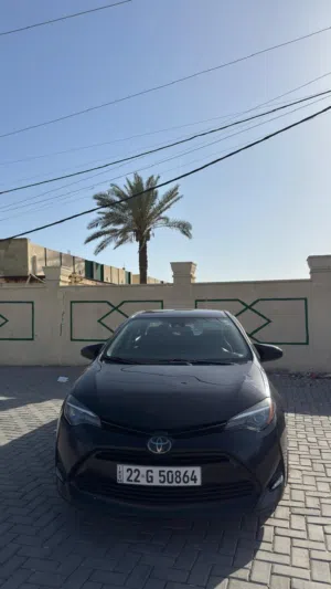 كورلا 2019